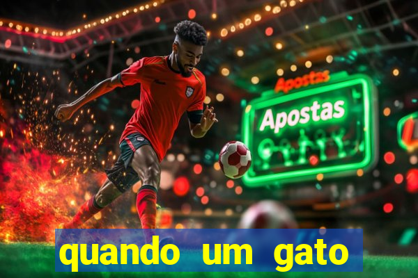 quando um gato aparece do nada significado espiritual