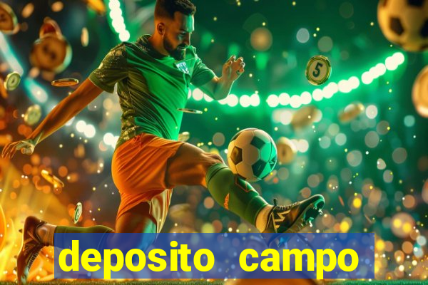 deposito campo grande santos