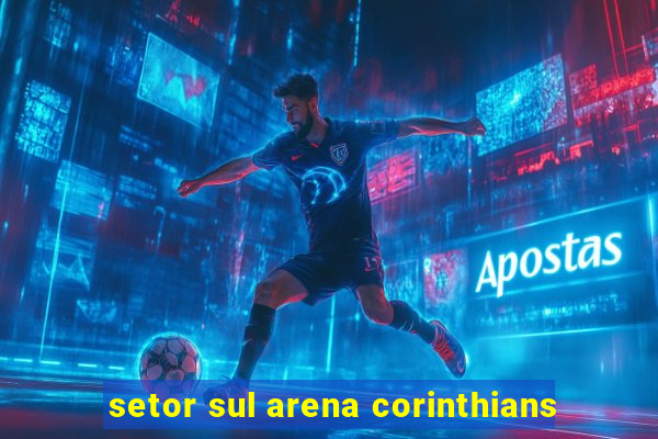 setor sul arena corinthians