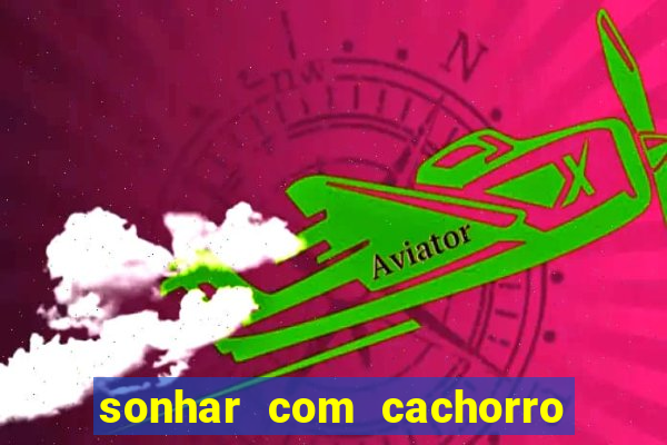 sonhar com cachorro mordendo jogo do bicho