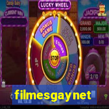 filmesgaynet