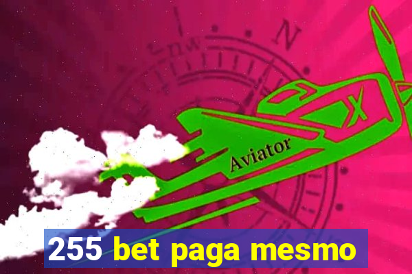 255 bet paga mesmo