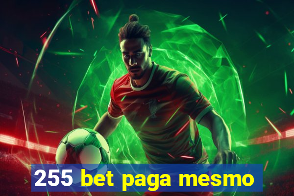255 bet paga mesmo