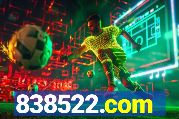 838522.com
