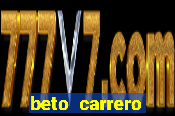 beto carrero cidades proximas