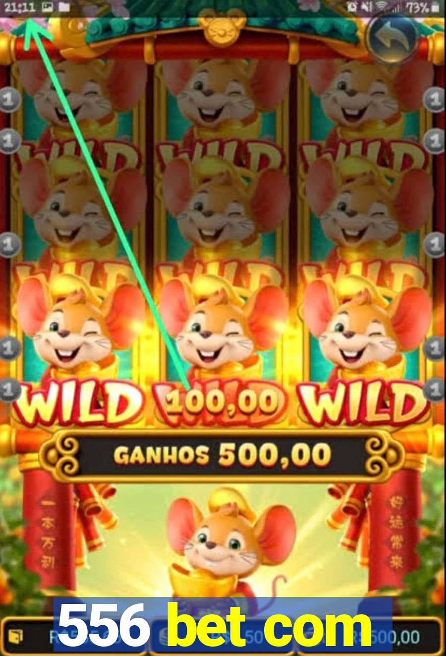 556 bet com