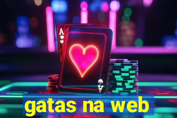 gatas na web