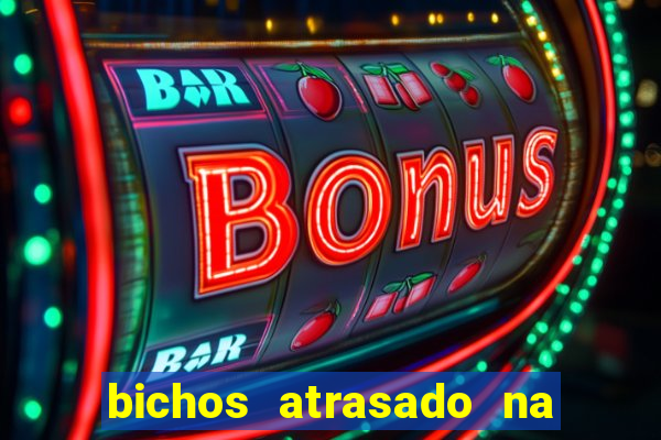 bichos atrasado na loteria dos sonhos