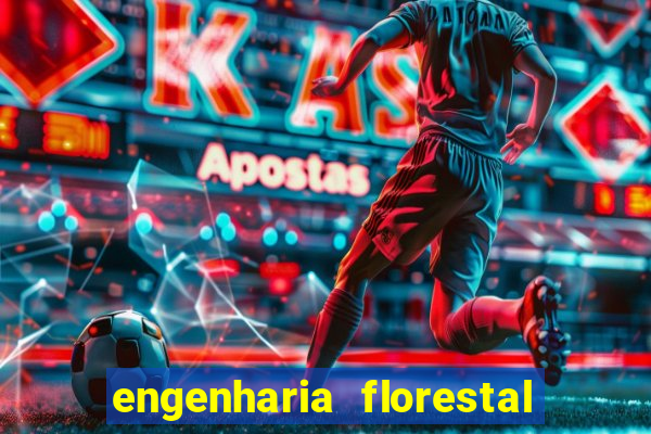 engenharia florestal ead cruzeiro do sul