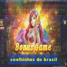 coelhinhas do brasil
