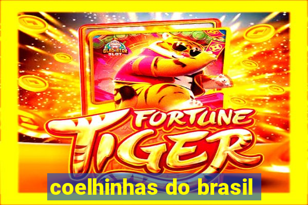 coelhinhas do brasil