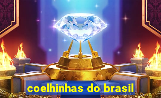 coelhinhas do brasil