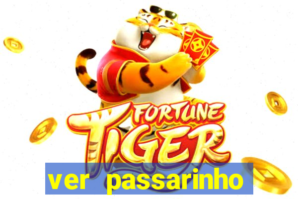 ver passarinho morto significado espiritual