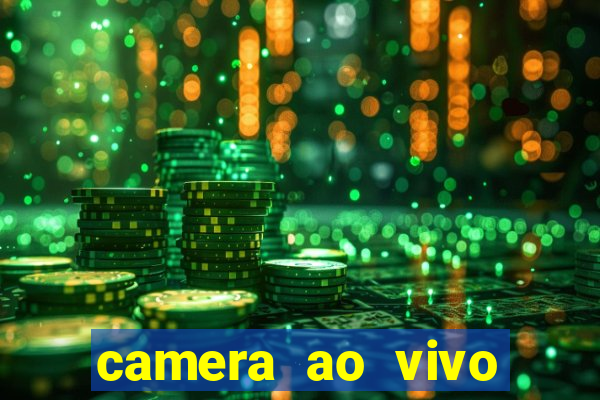 camera ao vivo porto de galinhas