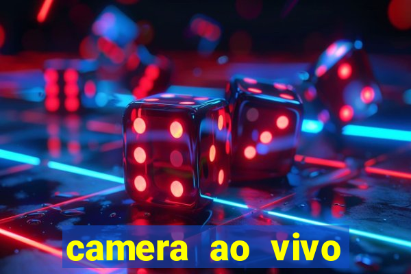 camera ao vivo porto de galinhas