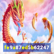 6020bet