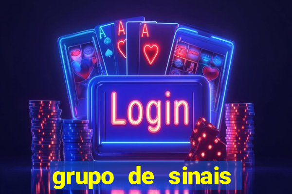 grupo de sinais fortune rabbit